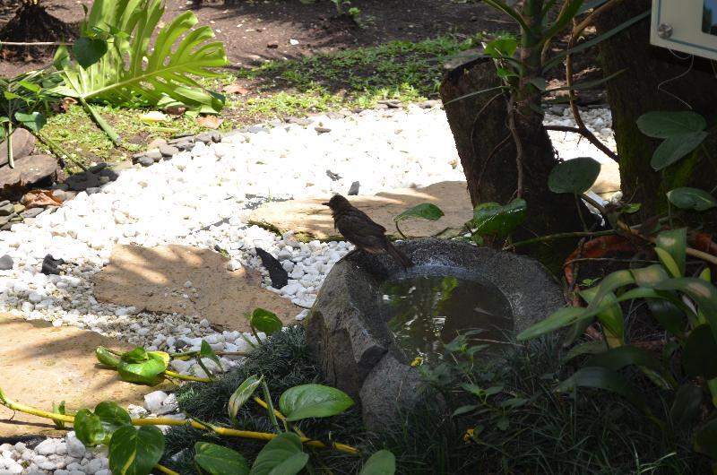 Hotel Aromax Del Campestre Medellín Zewnętrze zdjęcie